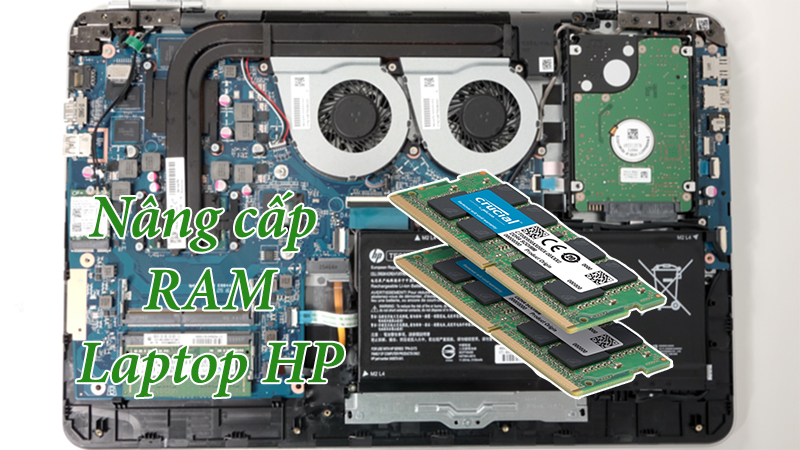 Tư vấn nâng cấp RAM cho Laptop HP
